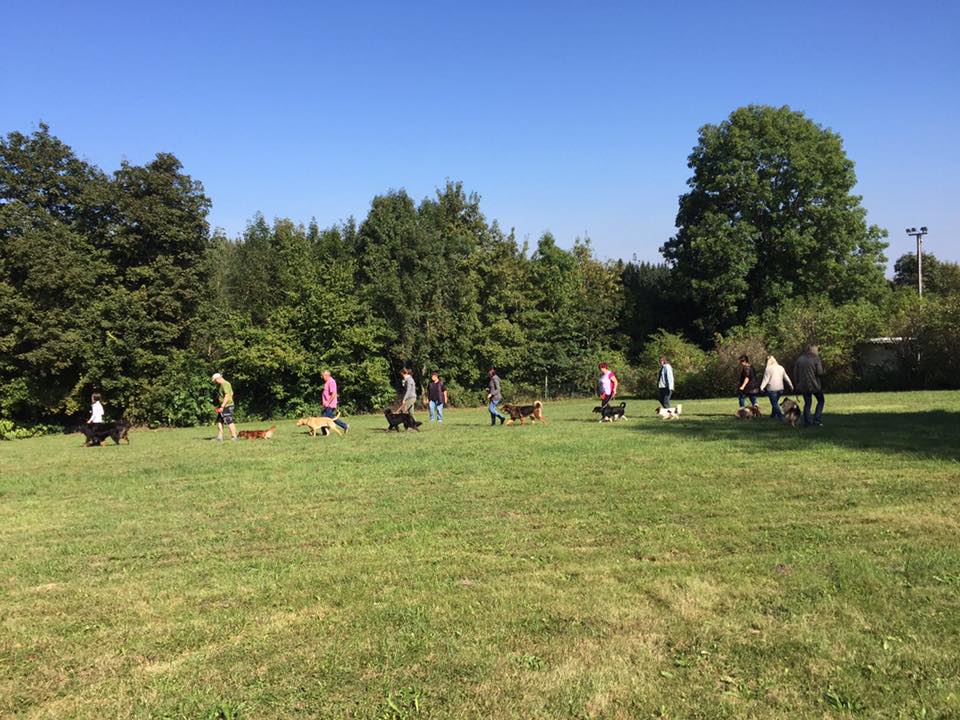 Hundefreunde Rottweil - Hundeplatz Rottweil - Trainingszeiten